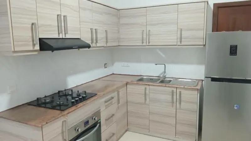 SEMI LUXURY APARTMENT FOR RENT IN COLOMBO 5 photo 3
