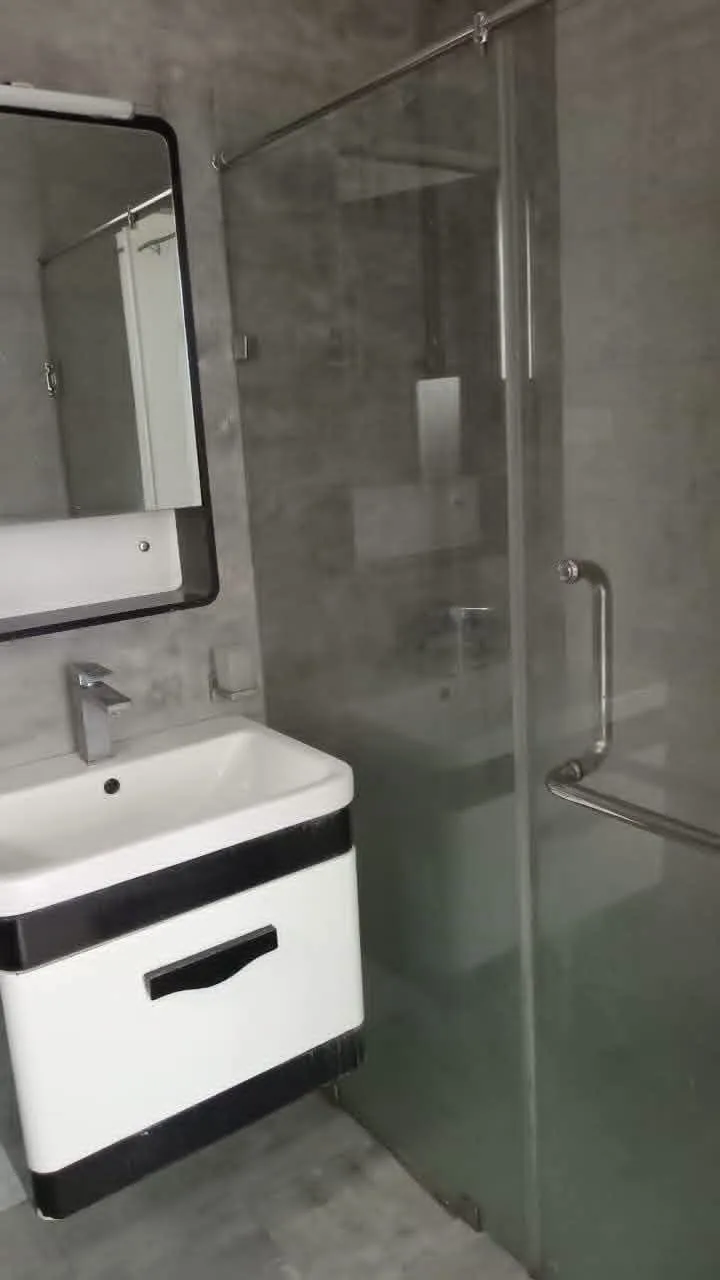 SEMI LUXURY APARTMENT FOR RENT IN COLOMBO 5 photo 7