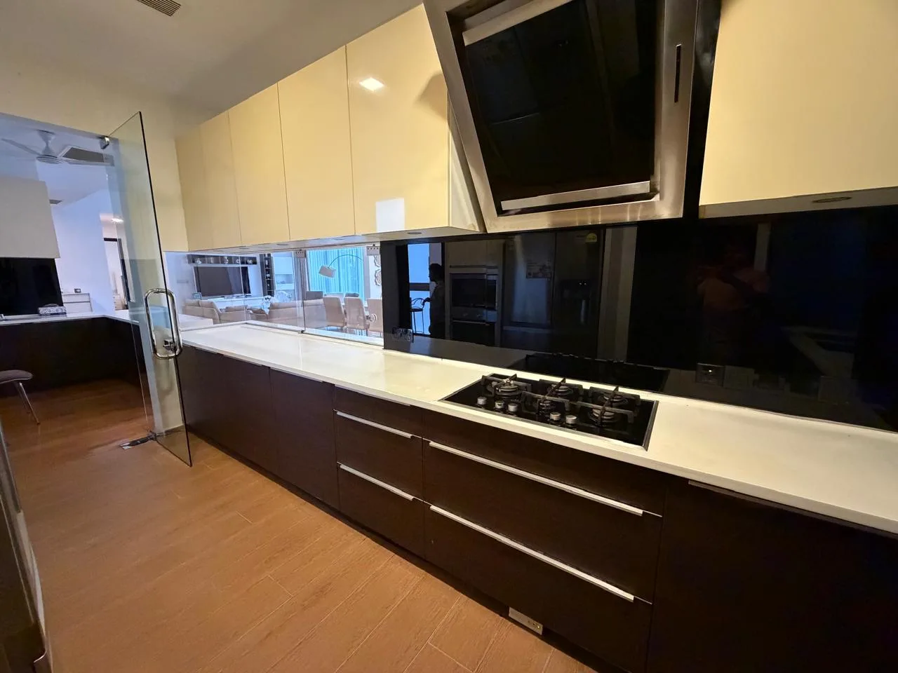 LUXURY APARTMENT FOR RENT IN COLOMBO 7 photo 4