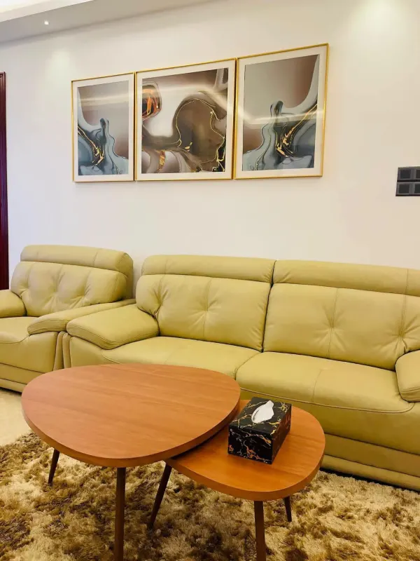 FURNISHED APARTMENT FOR RENT IN DEHIWALA photo 5