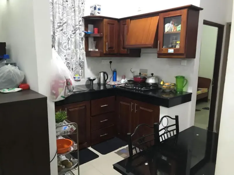 FULLY FURNISHED APARTMENT FOR RENT IN DEHIWALA photo 2