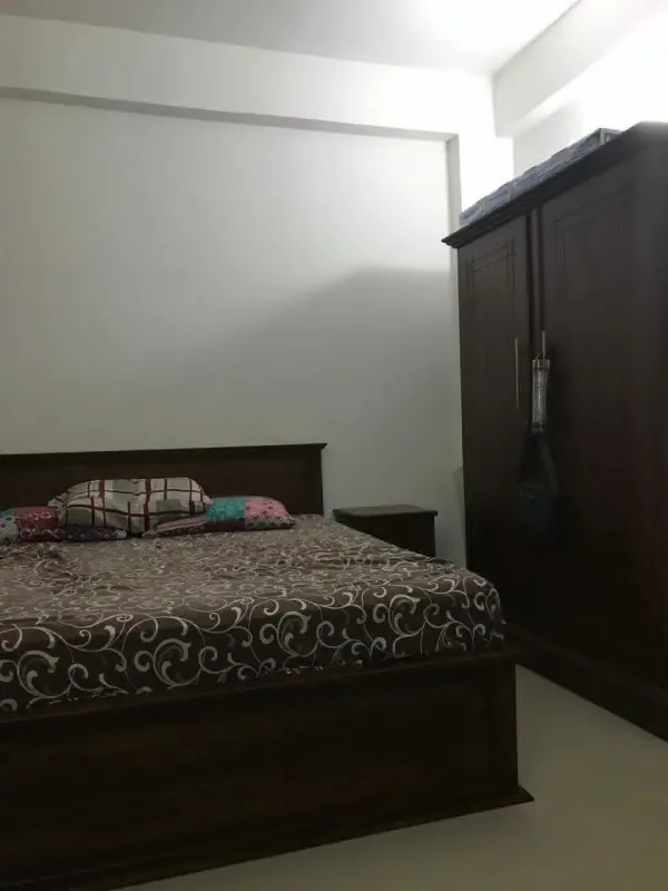 FULLY FURNISHED APARTMENT FOR RENT IN DEHIWALA photo 3