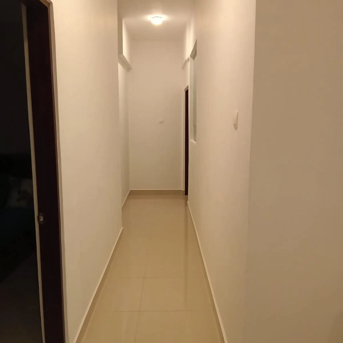 FULLY FURNISHED LUXURY APARTMENT FOR RENT IN DEHIWALA photo 9