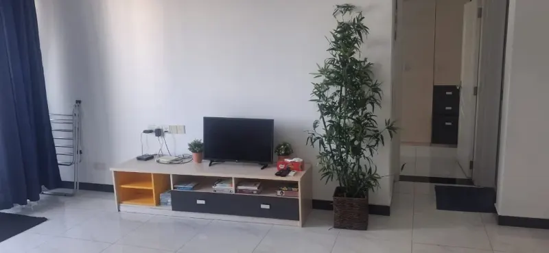 2 BEDROOM APARTMENT IN MOUNT LAVINIA photo 5