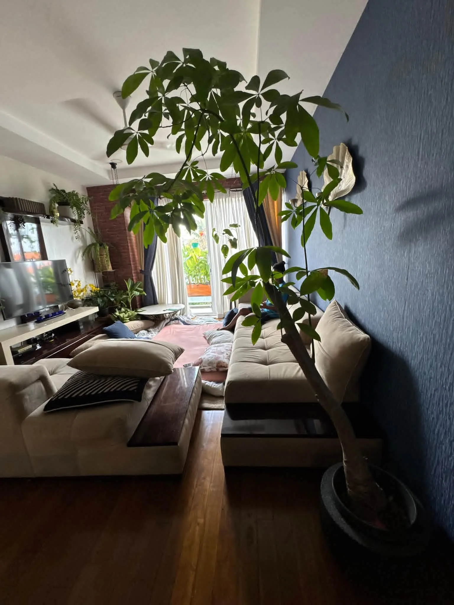 LUXURY FULLY FURNISHED 3-BEDROOM APARTMENT FOR RENT – RAJAGIRIYA